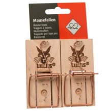 muizenval luchs